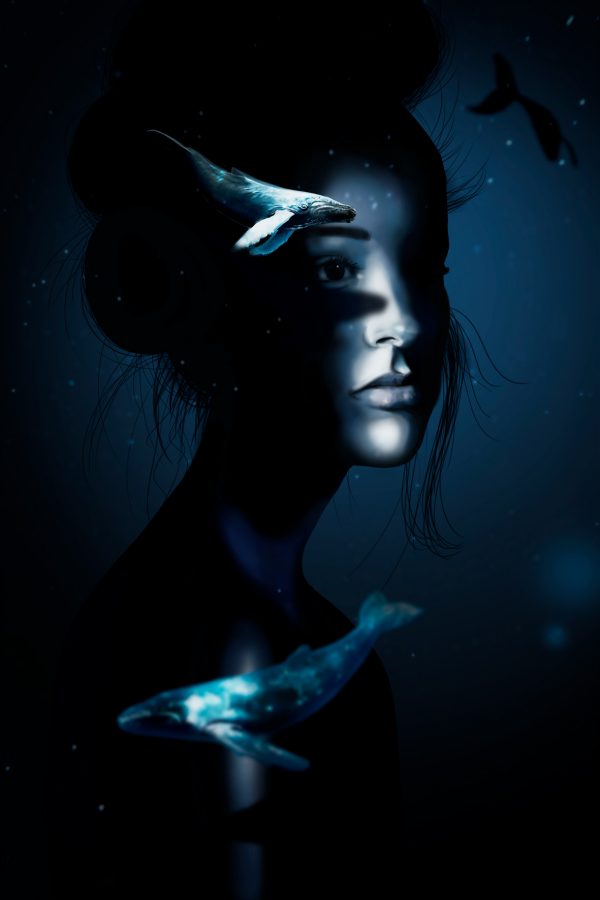 Chica ballena dibujo